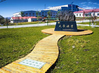 湛江天华矿业集团