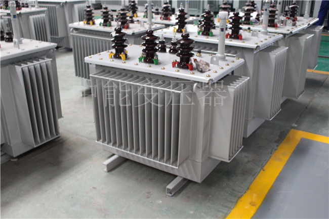 湛江S22-250KVA/10KV变压器